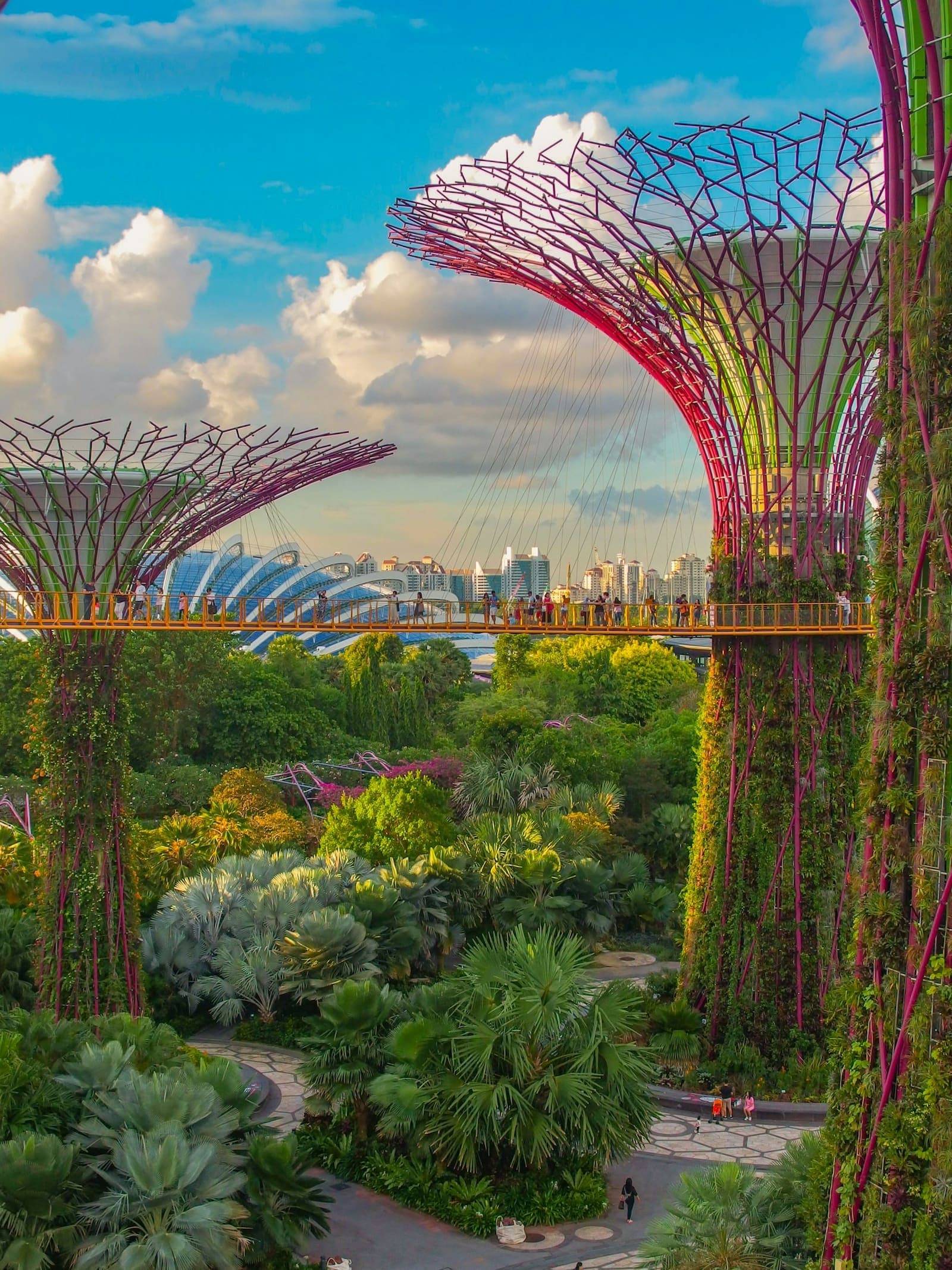 Twin-centre with Singapore