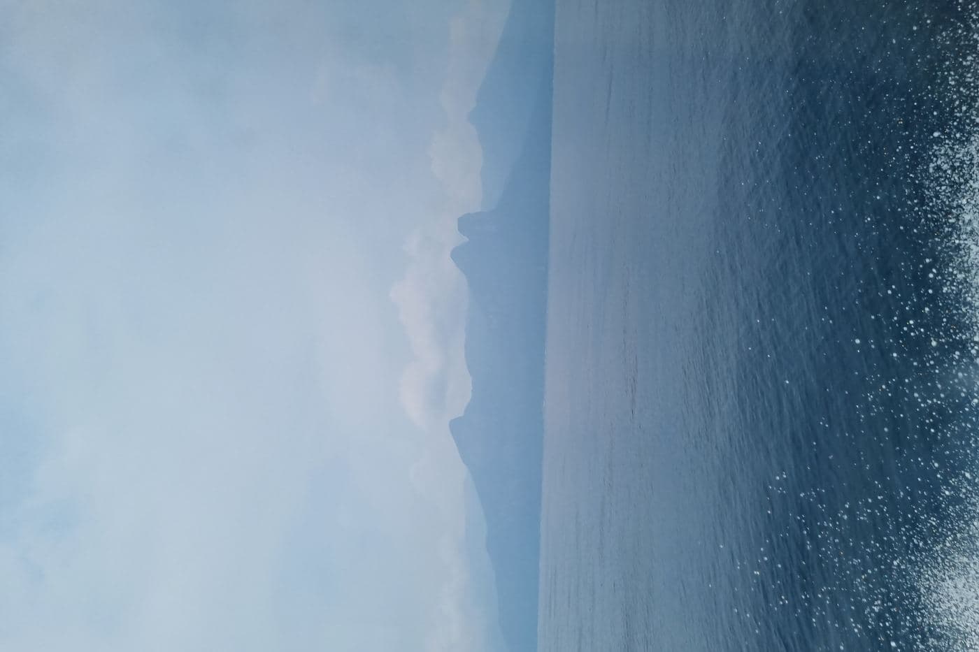All photos