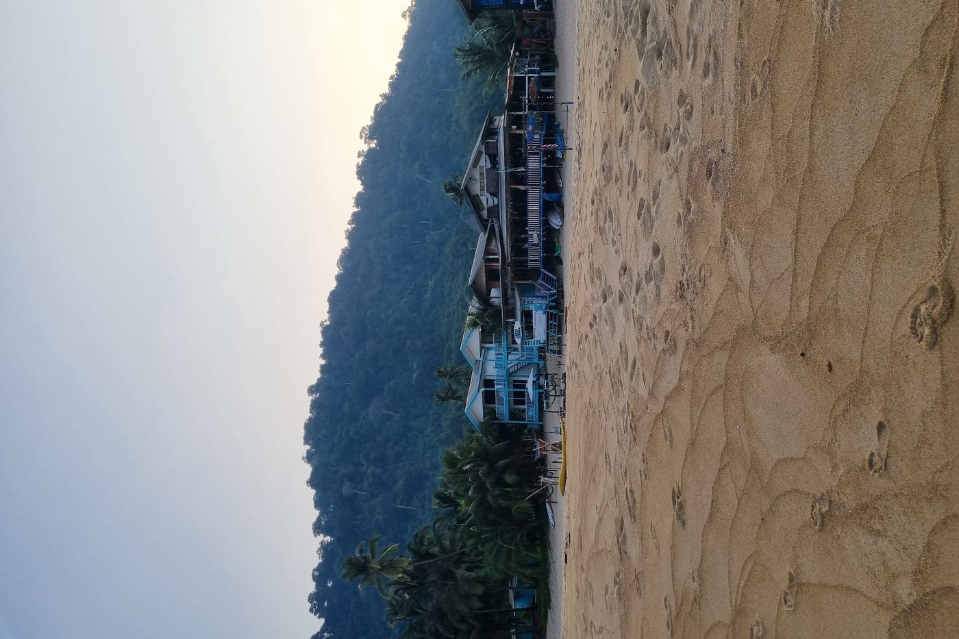 All photos