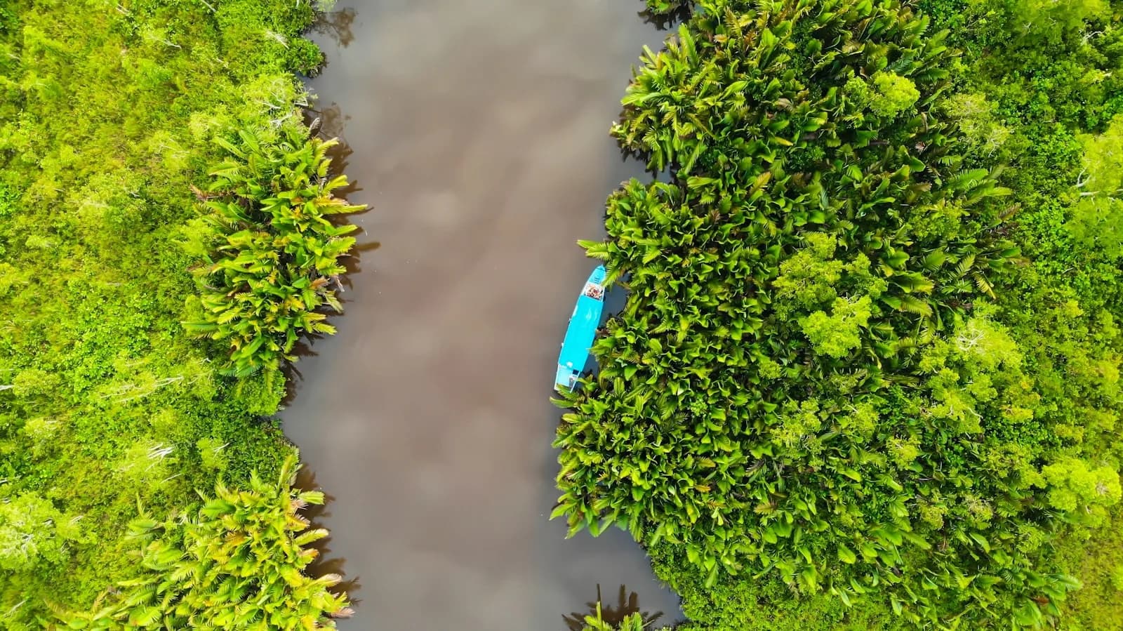 Rainforest and river scenery in Sarawak