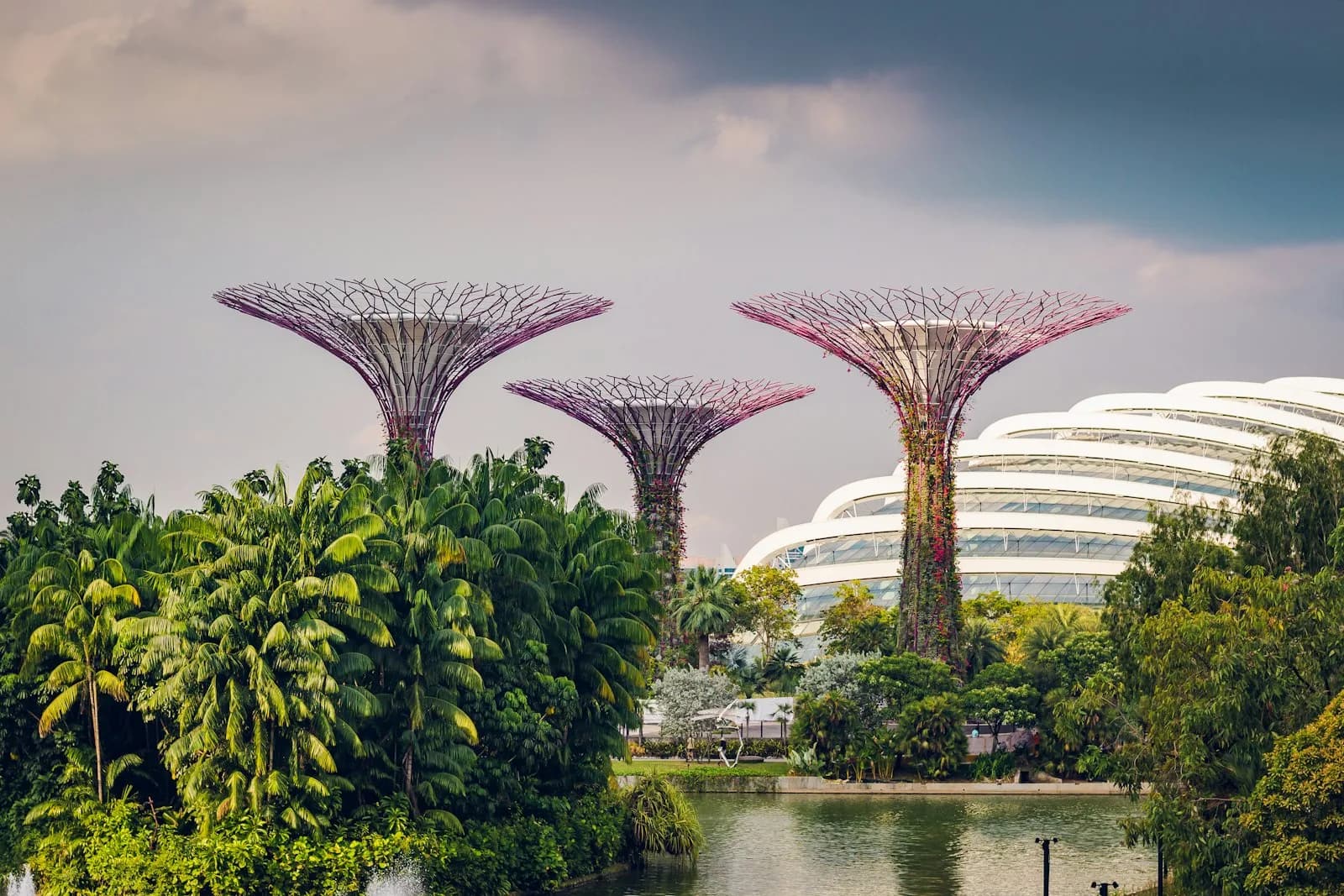 The Supertree Grove at Gardens by the Bay in Singapore