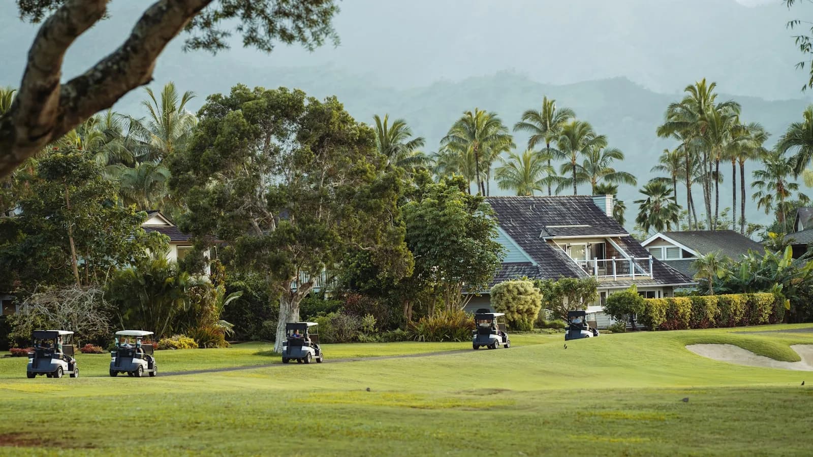 Golf buggies on a palm-lined resort fairway