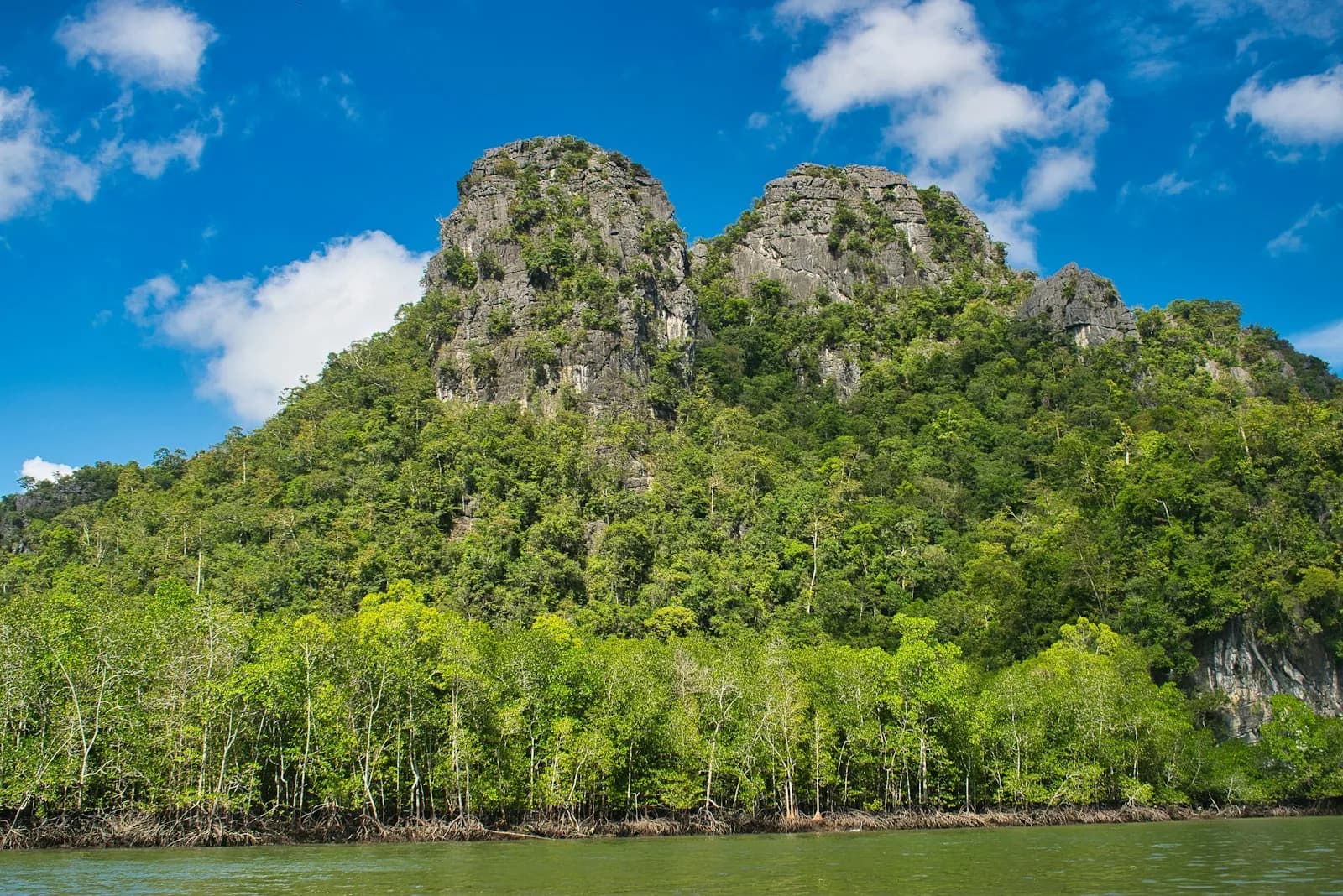 A limestone karst rising above the mangroves at the Kilim Geoforest Park in Langkawi