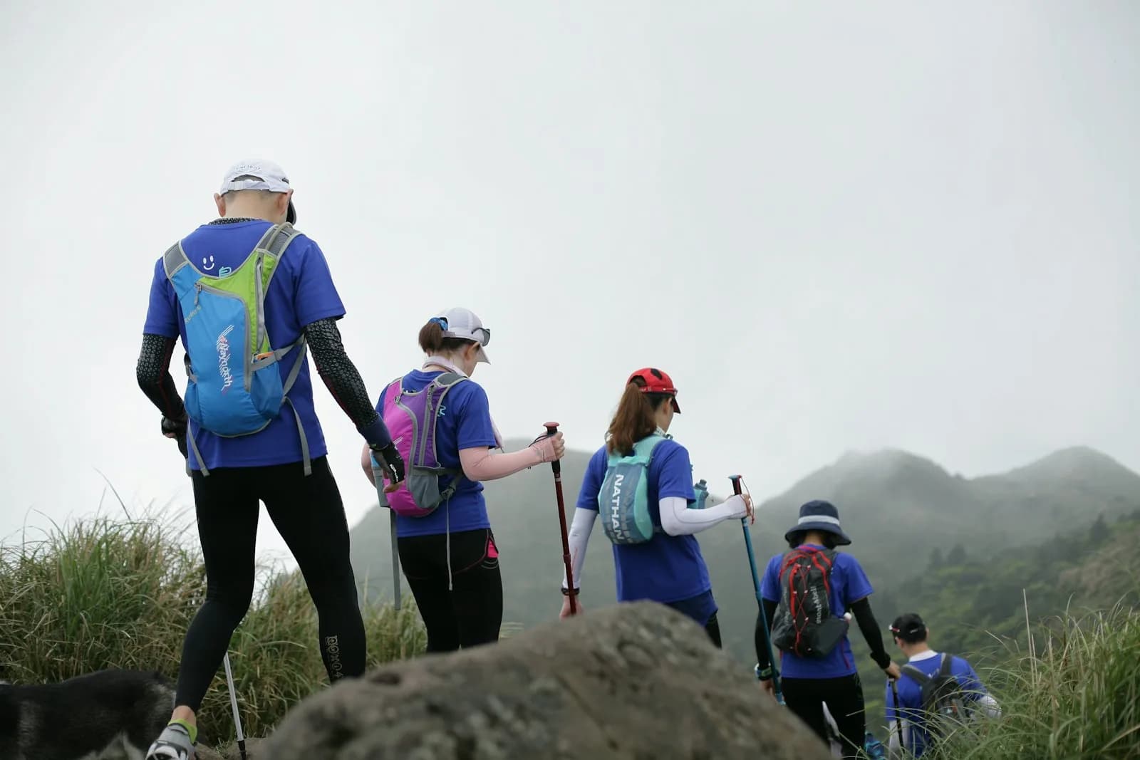 A small travel group with a local guide