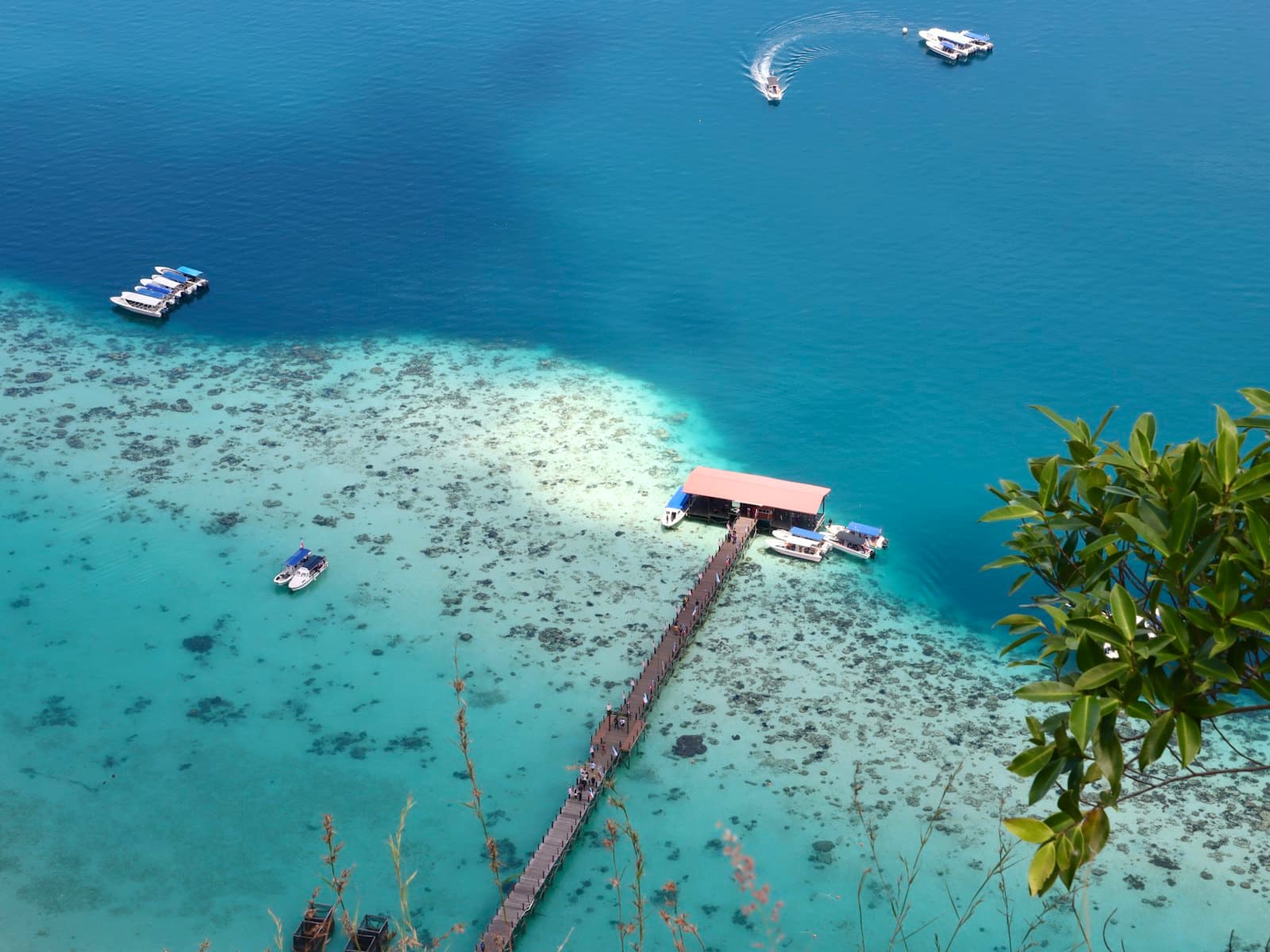 A scuba diver over a coral reef in a marine park