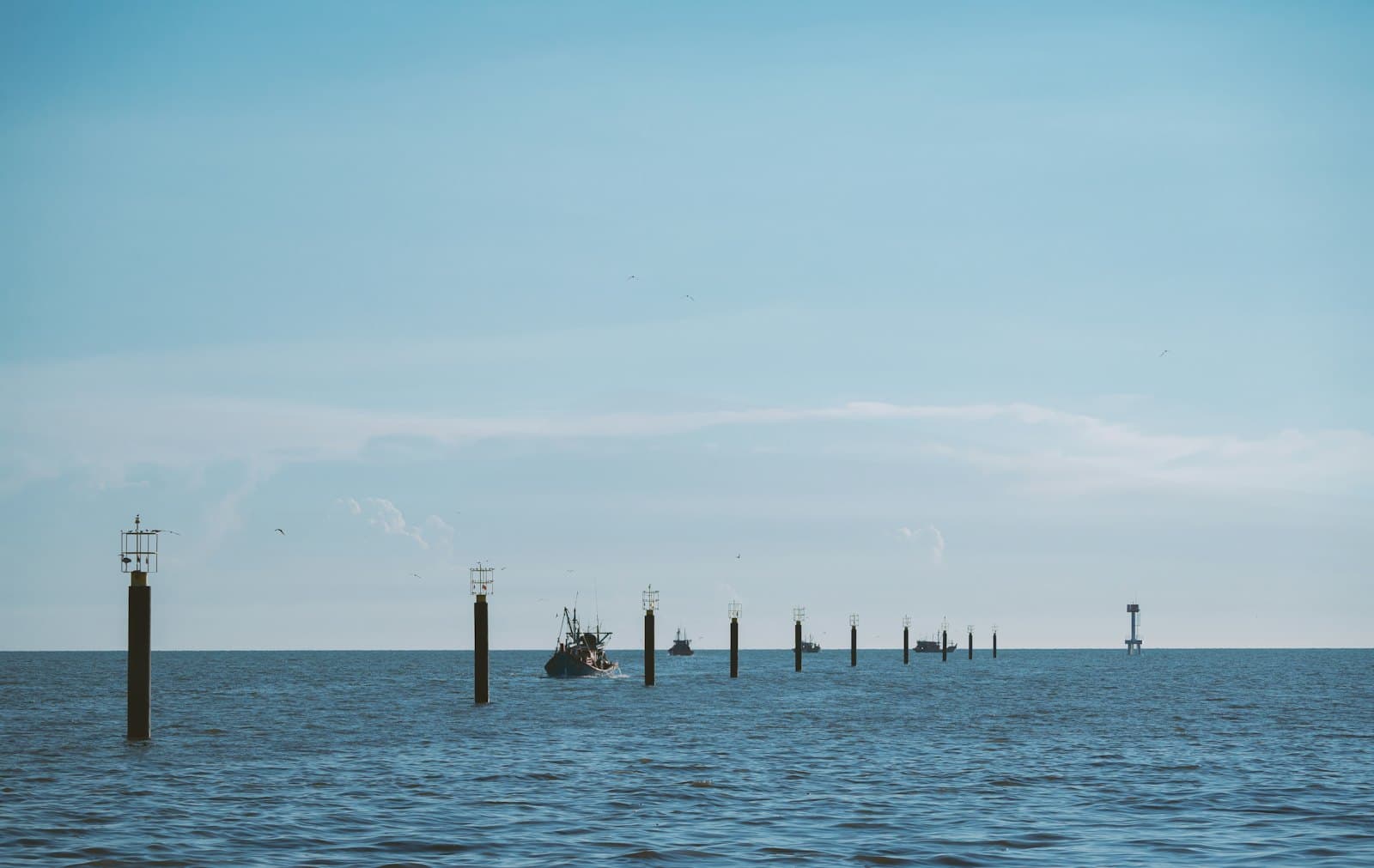 A quiet forested island rising from calm open sea