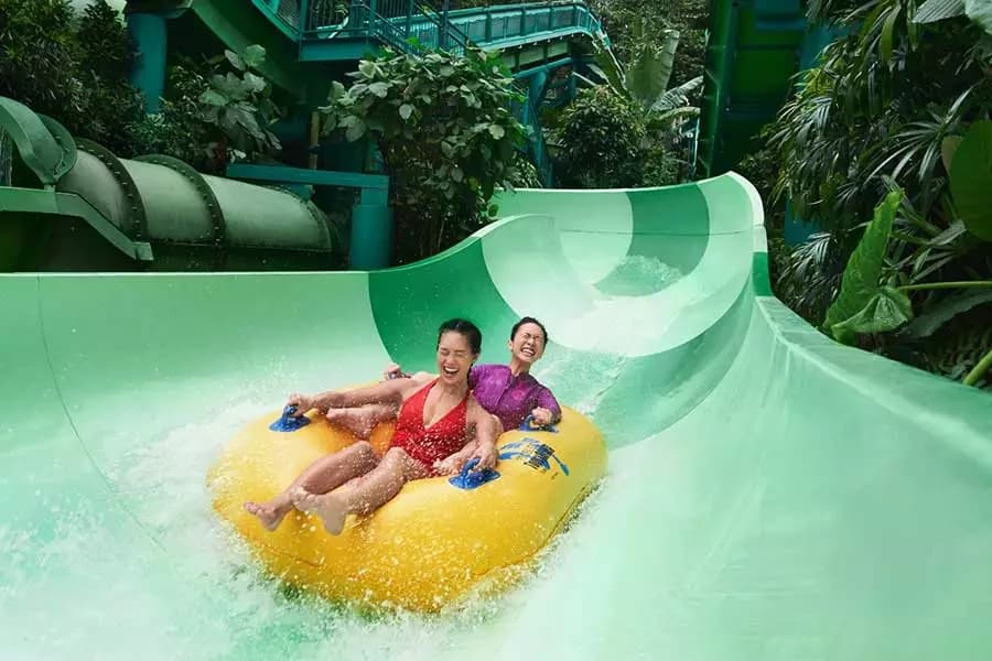 Adventure Cove Waterpark