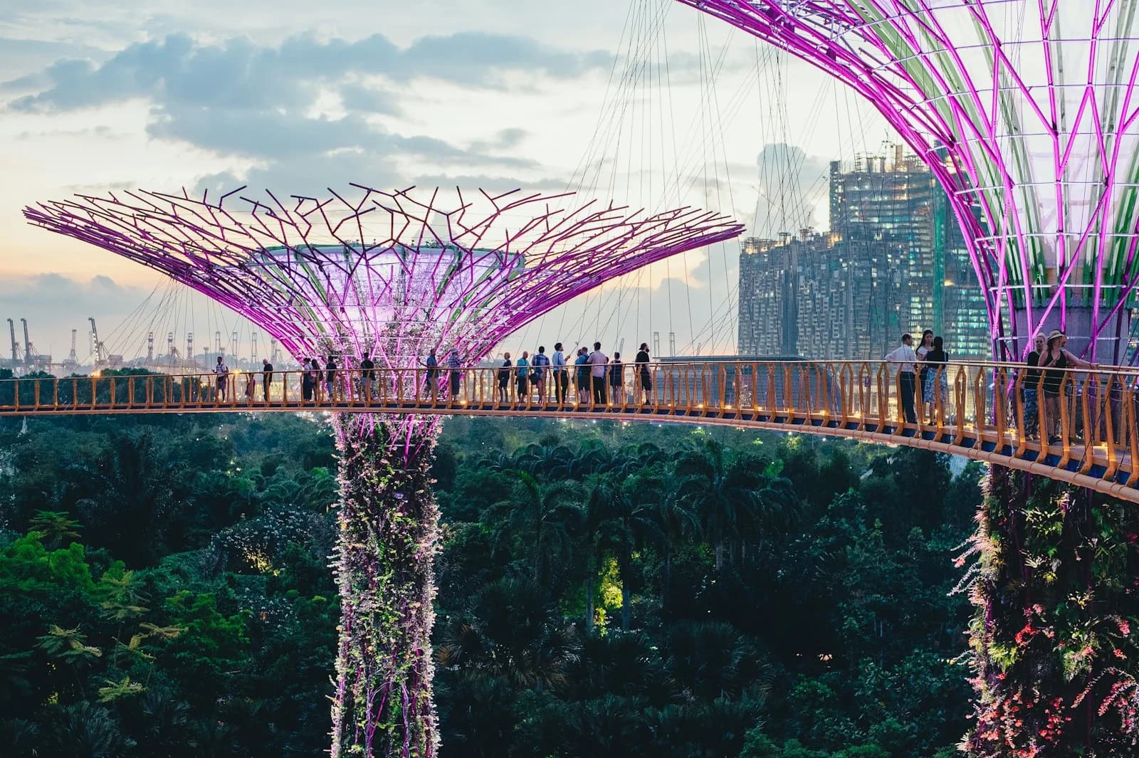 The Supertree Grove and skyway at Gardens by the Bay in Singapore