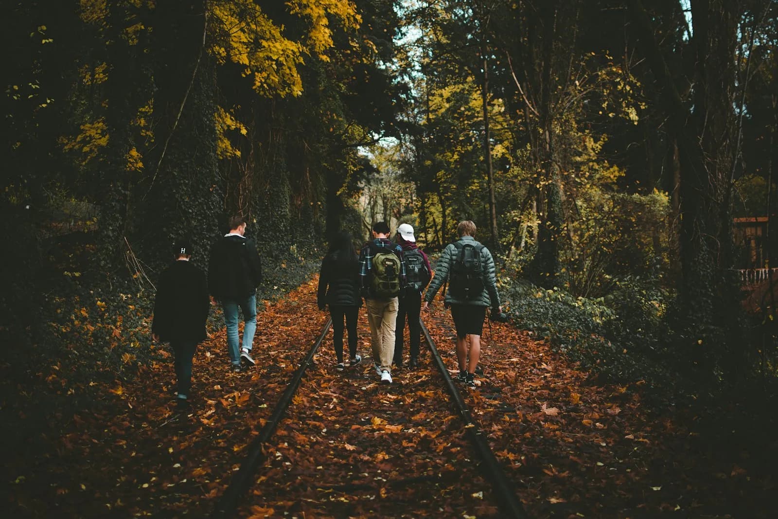 A small group with a local guide on a coastal path