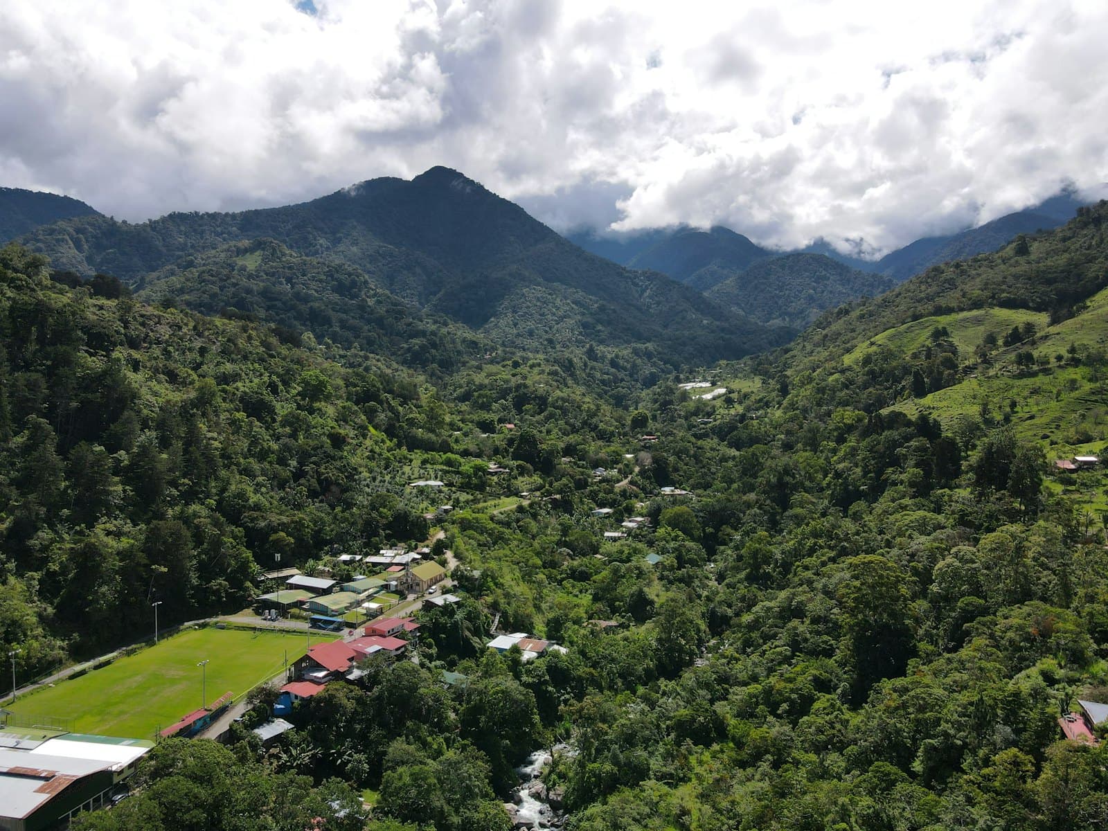 A rainforest trail crossing the interior of Tioman