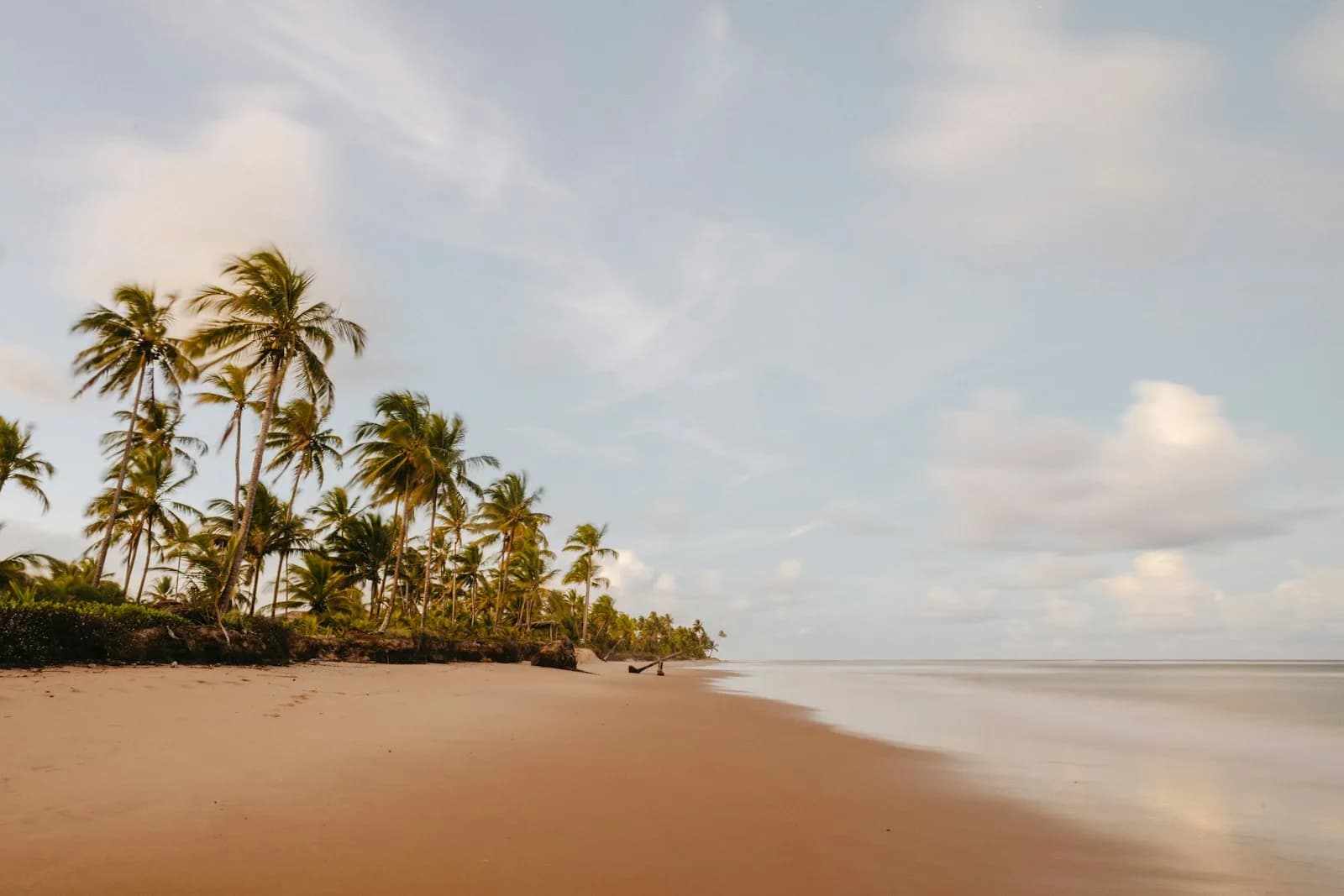 A quiet, palm-lined stretch of beach on Malaysia's east coast