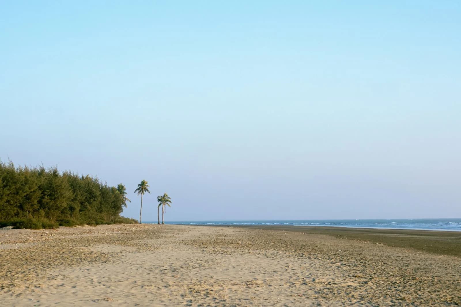 A flat, tree-lined beach at low tide on a quiet resort coast