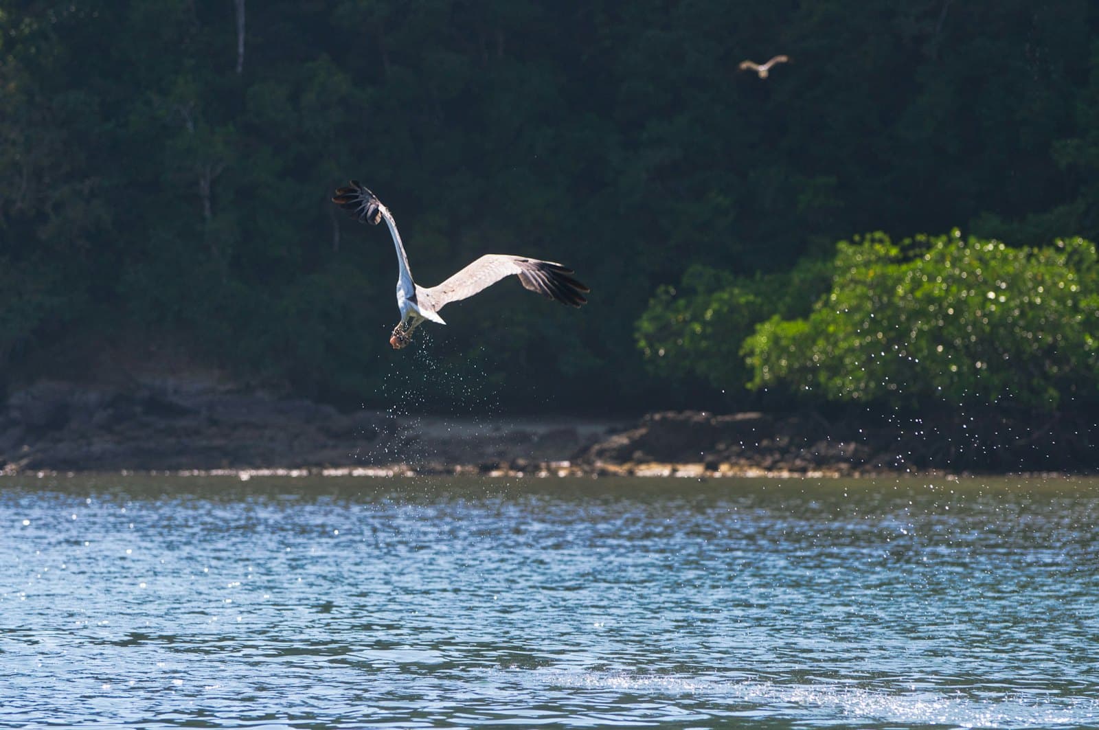 Langkawi