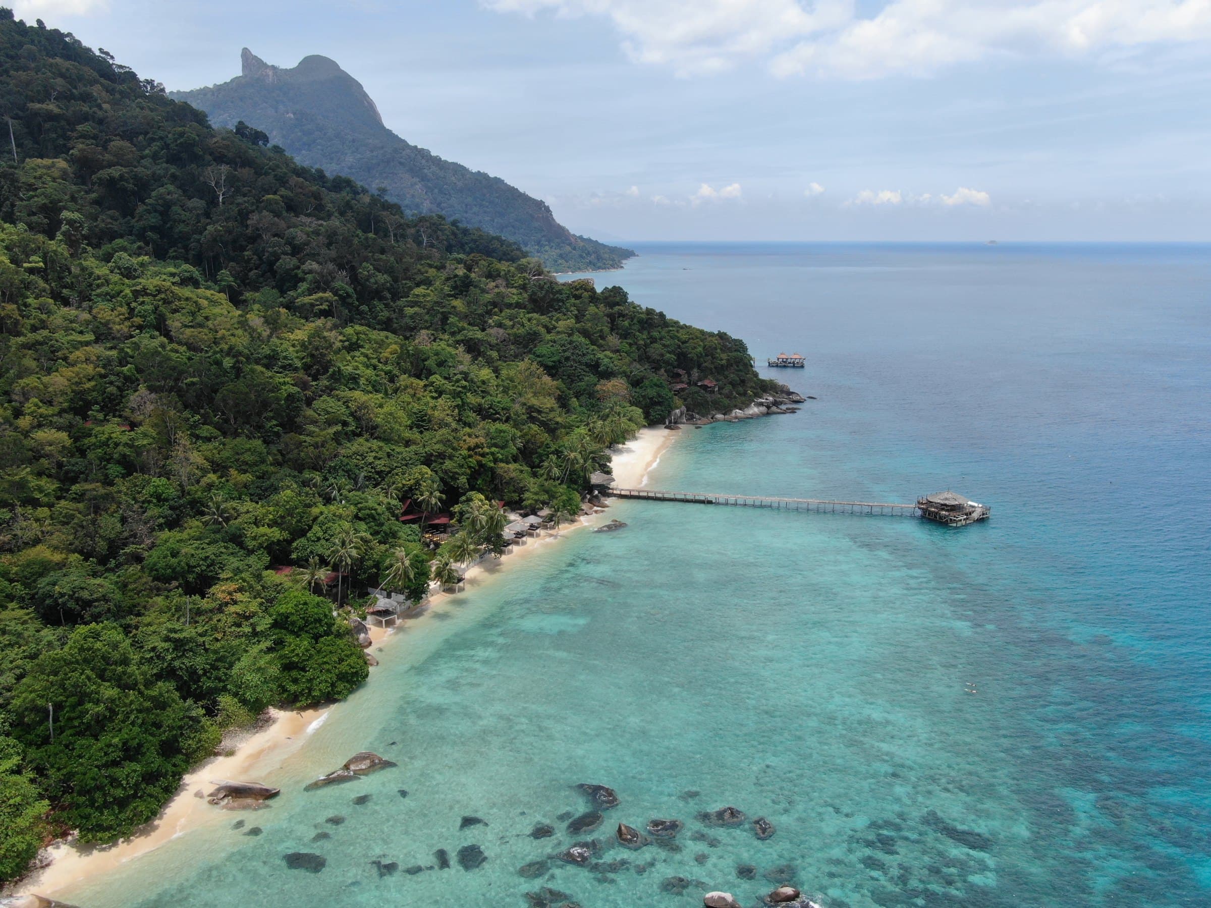 Palm-backed beach on Pulau Tioman