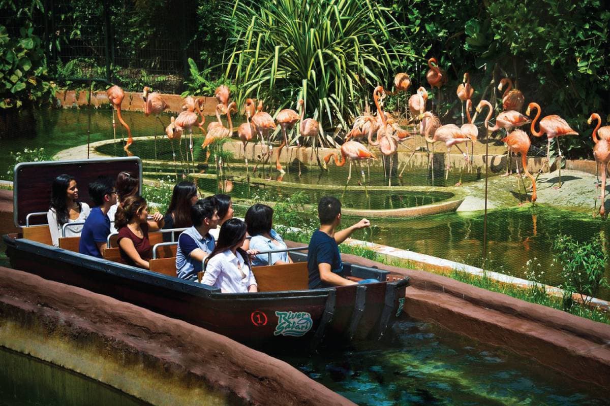 River Safari