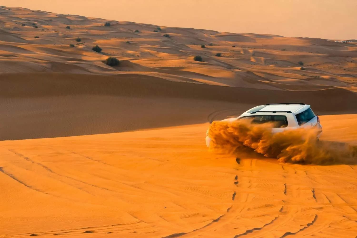 Dubai desert safari and Global Village