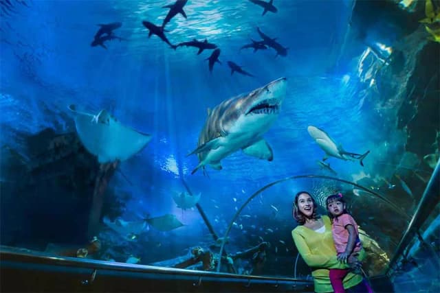  Билет в Aquaria KLCC в Куала-Лумпуре