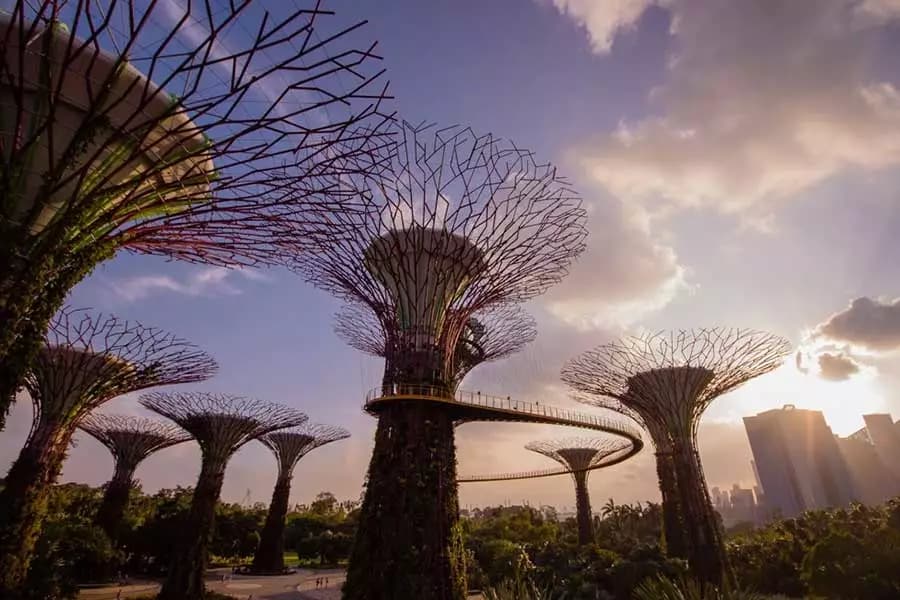 Gardens by the Bay Singapore