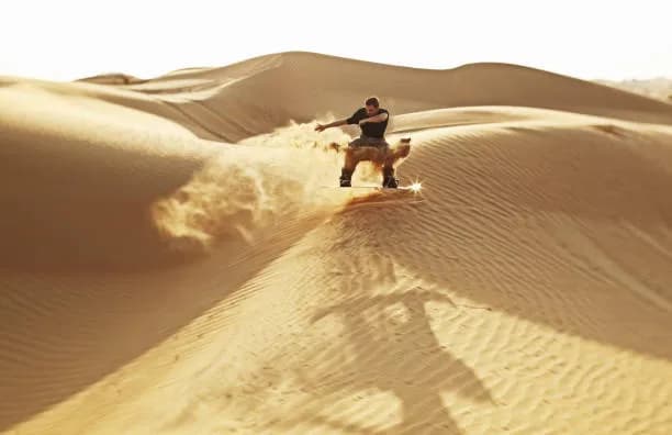 Sandboarding or Dune Bashing