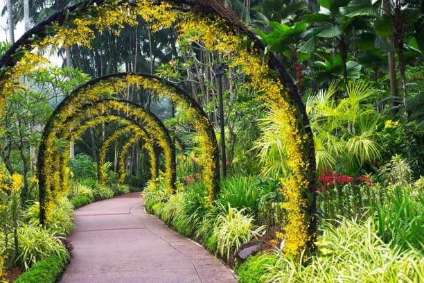 Singapore Botanic Gardens