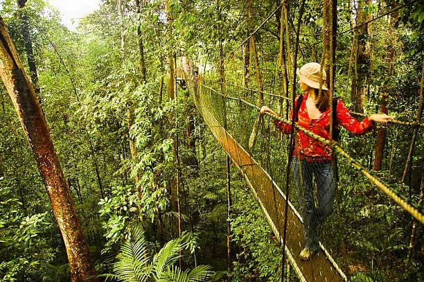 Taman Negara National Park