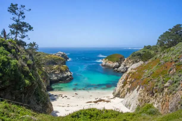 Point Lobos, California