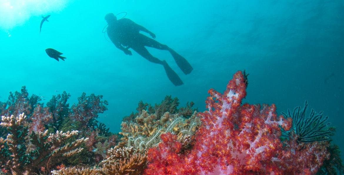 KUALA LUMPUR + TANJONG JARA