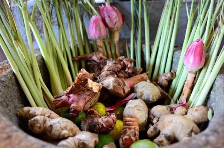 GARDENS AND PARKS OF PENANG