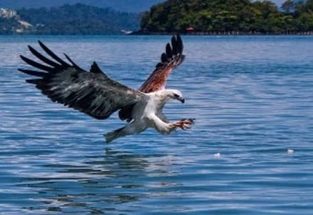 LAKE OF THE PREGNANT MAIDEN