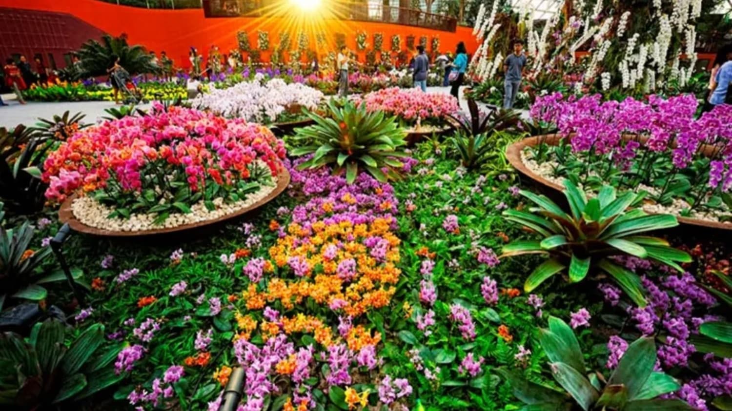 Gardens By The Bay + Observation Deck Or Singapore Flyer