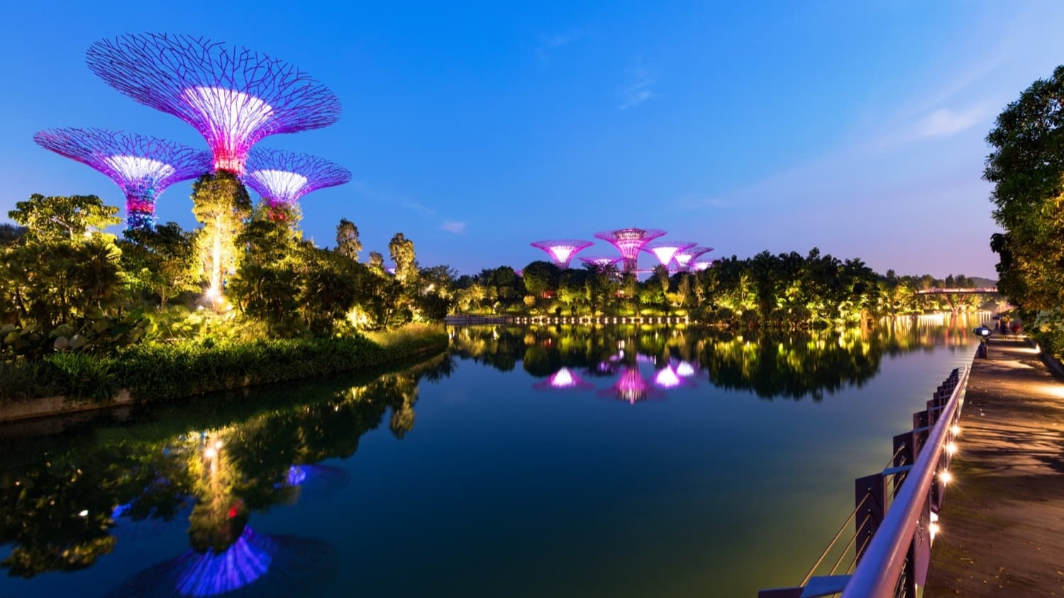 Gardens By The Bay + Observation Deck Or Singapore Flyer