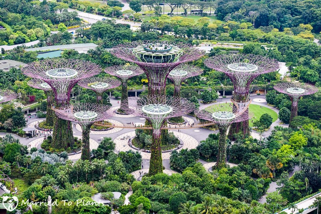 Gardens By The Bay + Observation Deck Or Singapore Flyer