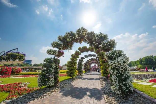 Dubai Miracle Garden-Things to do in Dubai