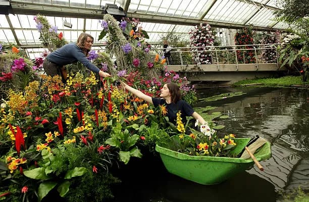 Orchid Extravaganza-things to do in Singapore