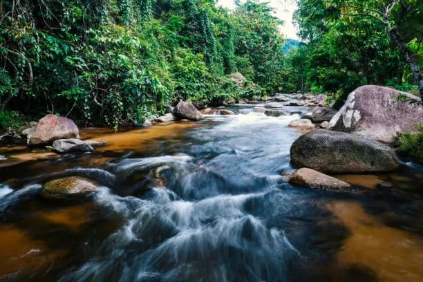 best things to do in Malaysia-Whitewater Rafting in Gopeng, Perak