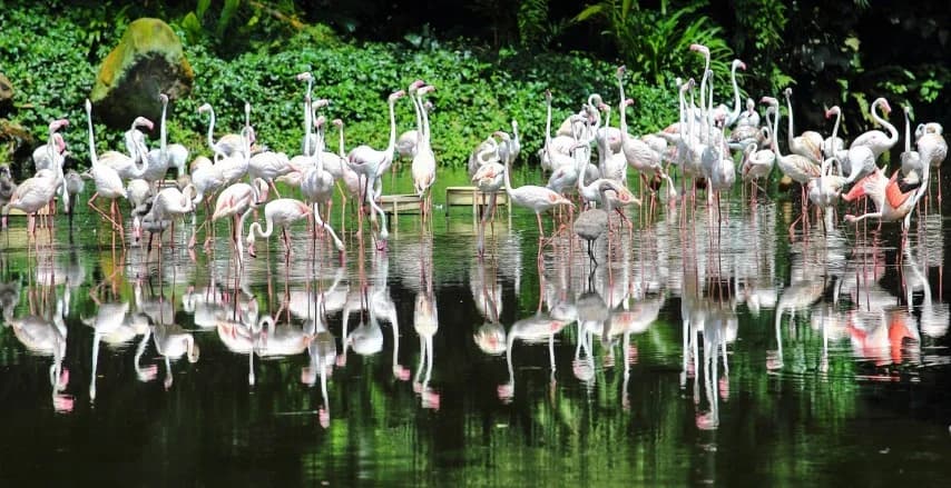 BIRD PARK + KUALA LUMPUR