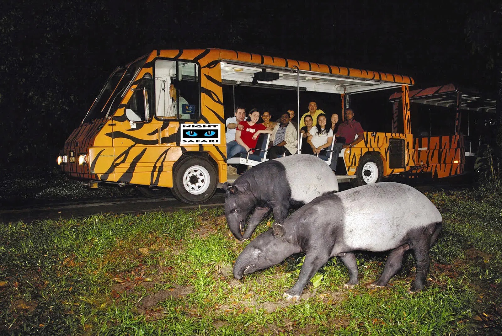 Night Safari (Ночное сафари)