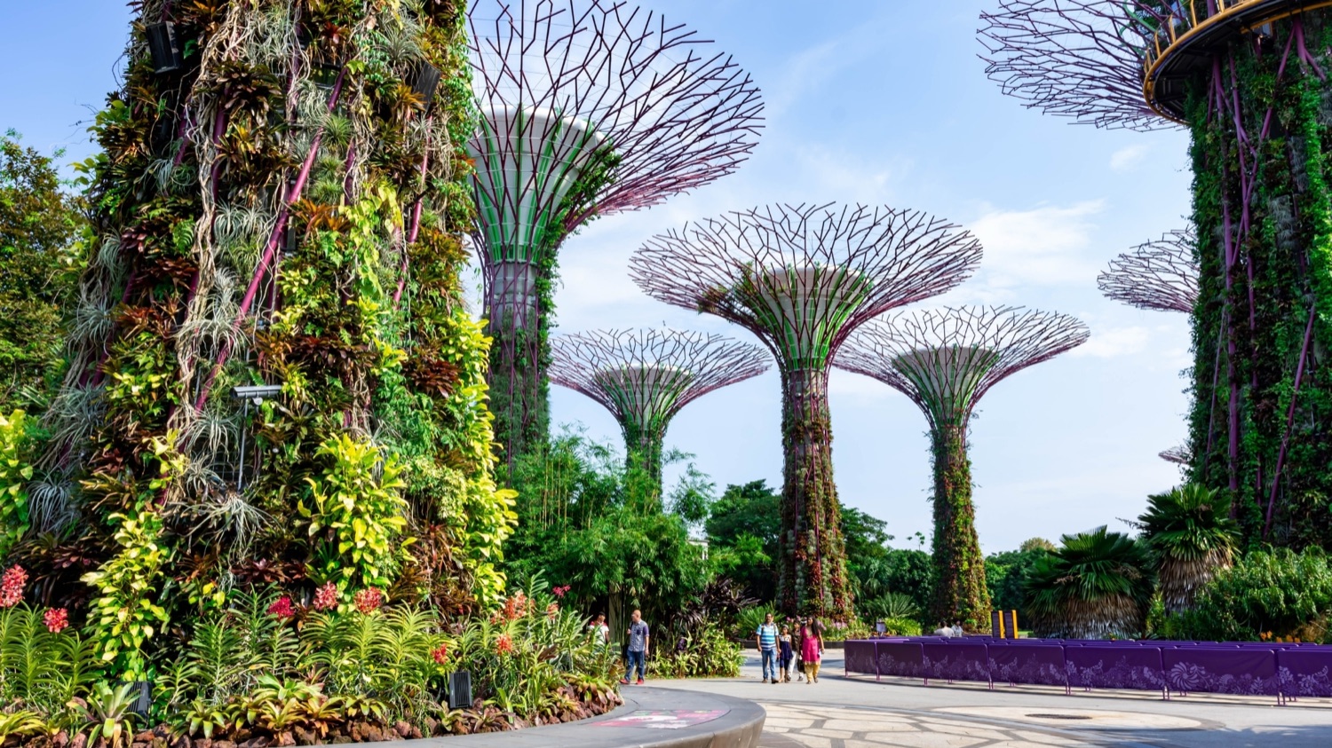 Singapore Day Tour