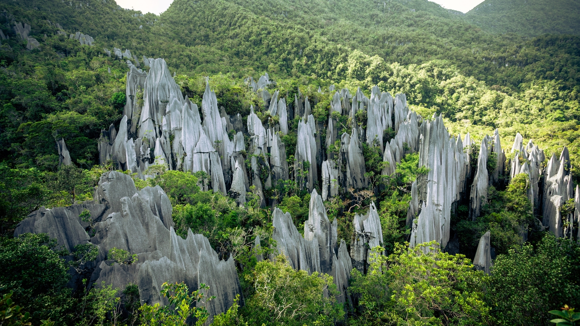 Национальный парк Gunung Mulu