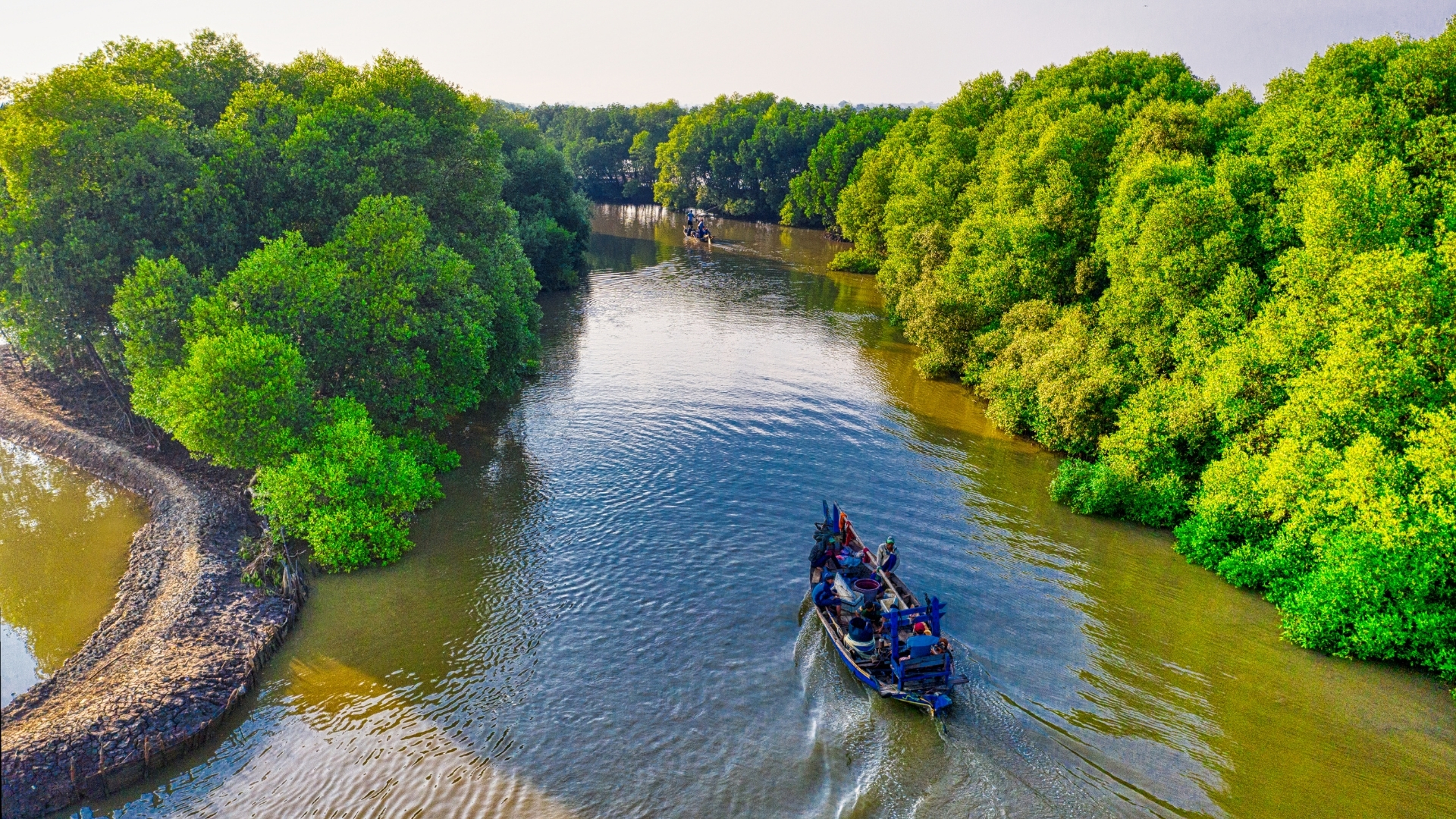 Marang River mangroves