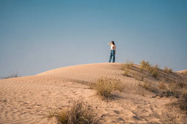 Al Marmoom Desert Conservation Reserve