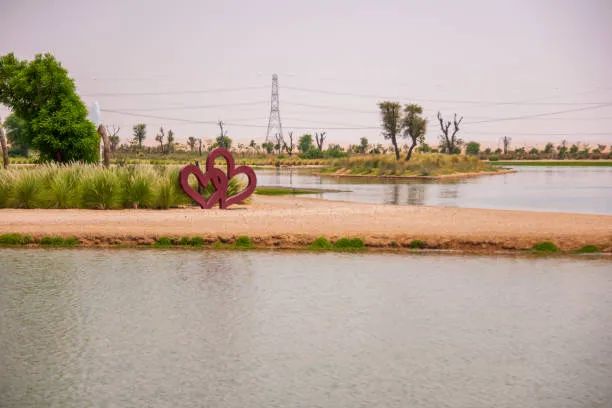 Al Qudra Lakes - places to visit for couples in dubai