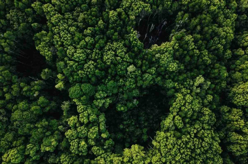 Borneo Rainforest Lodges - Best Places to Visit for Couples in Malaysia