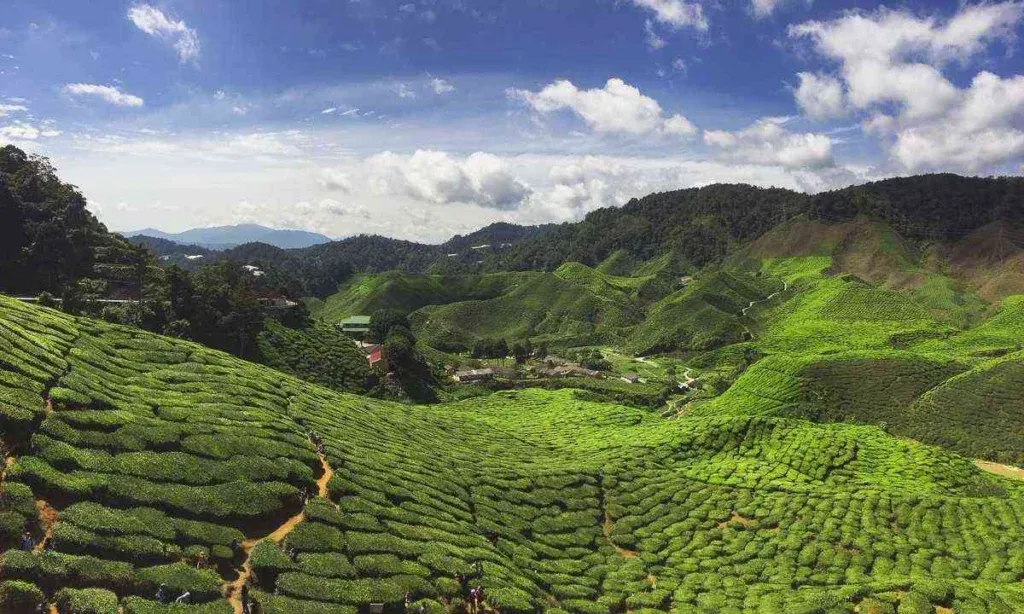 Cool Weather and Nature Retreats