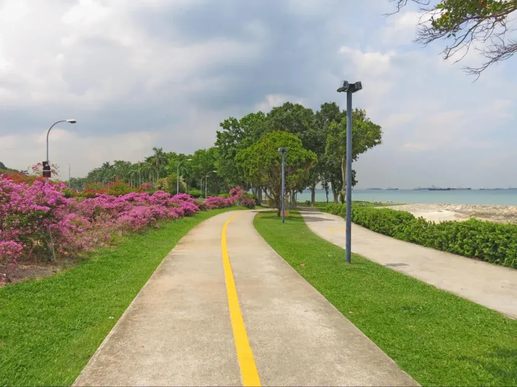 Cycling Along East Coast Park, Coastal Active Date