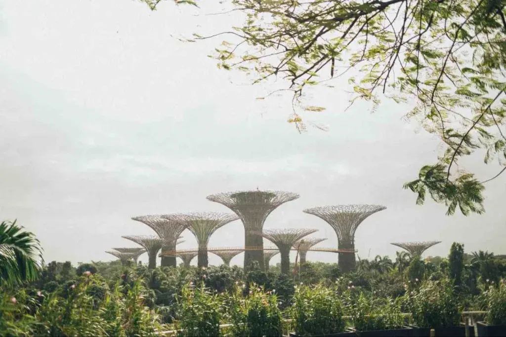 Gardens by the Bay