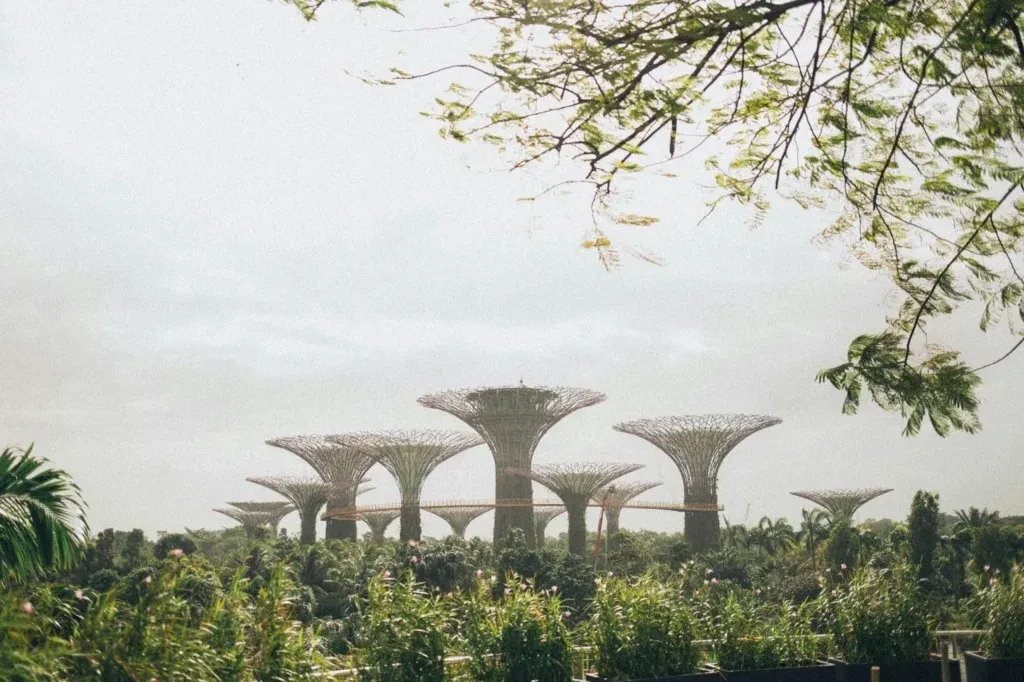 Gardens by the bay,