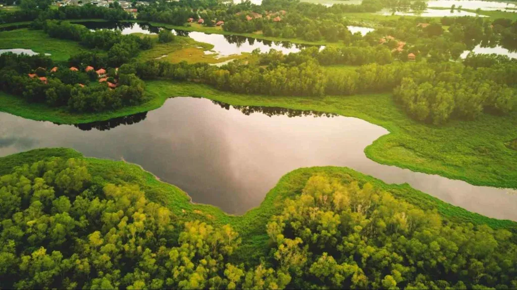 Kuala Selangor
