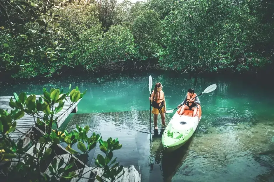 Mangrove Kayaking in Langkawi, Eco Adventure Together