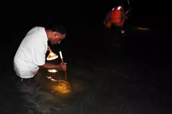 Crab hunting